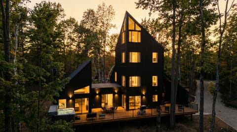 Modern A-frame nestled in northern Michigan woods — your private forest retreat