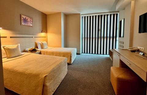 Standard Double or Twin Room, City View | In-room safe, soundproofing, iron/ironing board, free WiFi