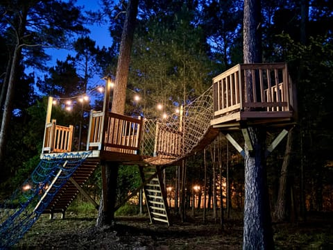 Adventure awaits on glowing rope bridges in the trees
