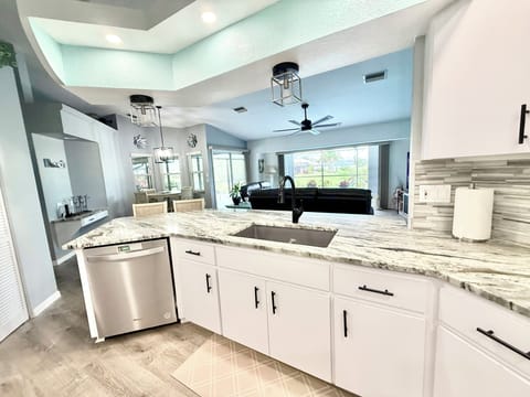 Stainless steel dishwasher and double sided sink