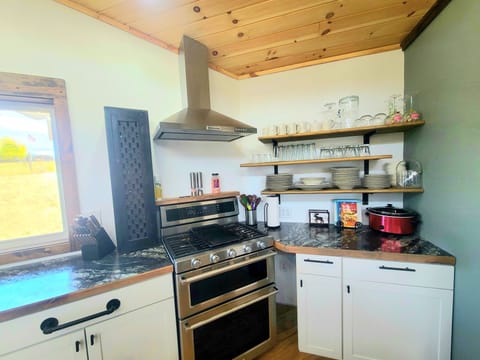 Commercial gas stove.