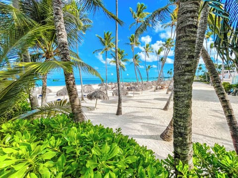 Beach nearby, white sand, sun loungers, beach umbrellas
