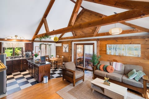 Cabin-style Living room with comfortable sofas