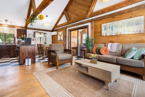 Cabin-style Living room with comfortable sofas