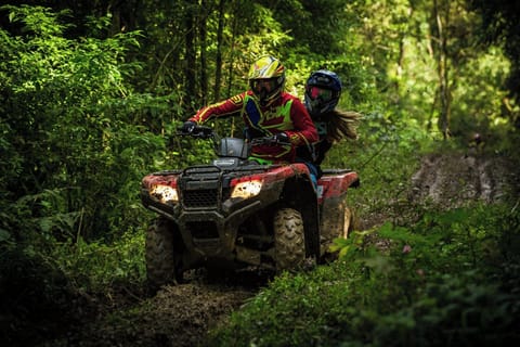 ATV Trails on property and surrounding Mark Twain National Forest