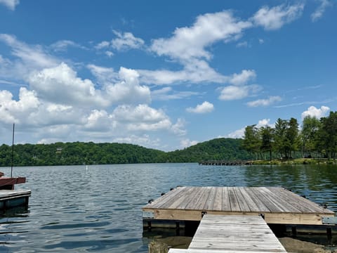 View from the firepit