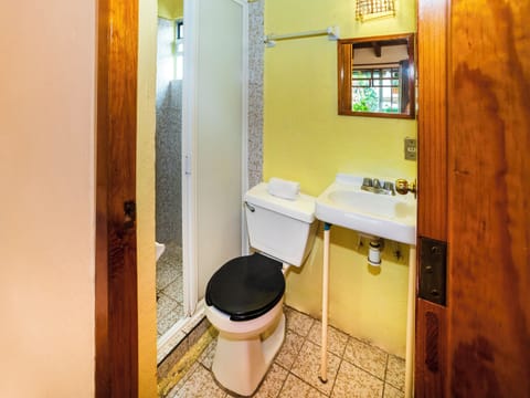 Triple Room | Bathroom | Shower, towels, soap, shampoo