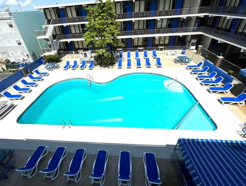 Outdoor pool, sun loungers