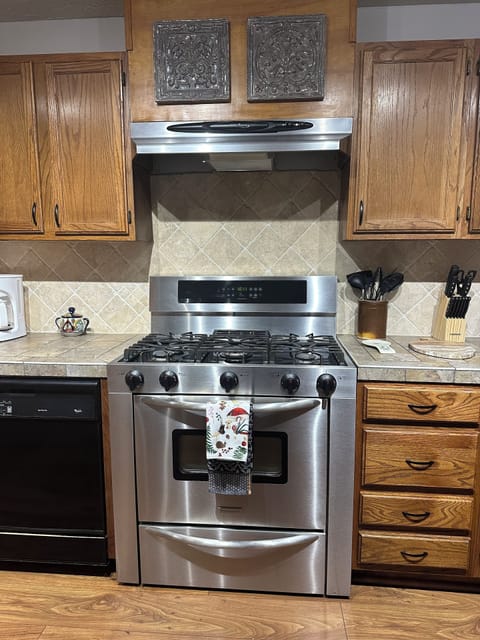 Gas stove and oven