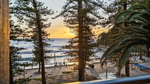 Golden sunset over the shoreline, framed by beautiful coastal pines.