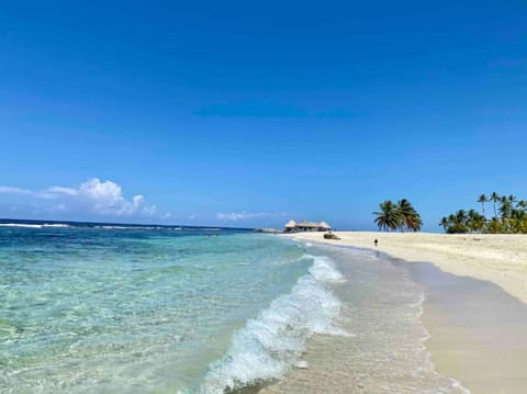 Una playa con aguas cristalinas y arena limpia y con palmeras que refrescan el lugar, una vista única para que puedas tomarte selfies