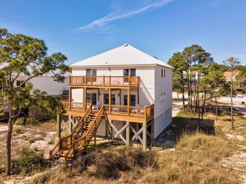 Elevated beach house with wraparound decks nestled among coastal pines, offering natural dune views and easy beach access.