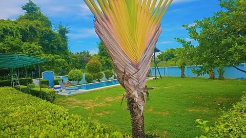 House, 3 Bedrooms, Accessible, Smoking | Pool | Outdoor pool