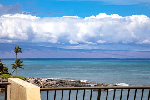 Tranquil waves meet horizon in this unforgettable oceanfront paradise escape. NAP-B26