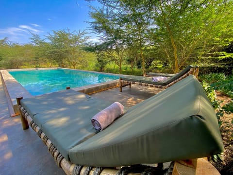 Outdoor pool, pool umbrellas, sun loungers