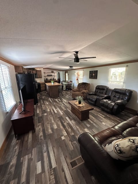 Living room and kitchen
