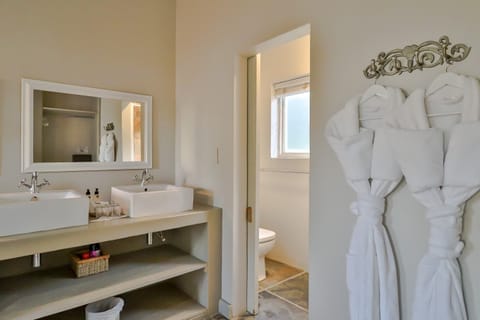 Deluxe Double or Twin Room | Bathroom | Free toiletries, hair dryer, bathrobes, towels