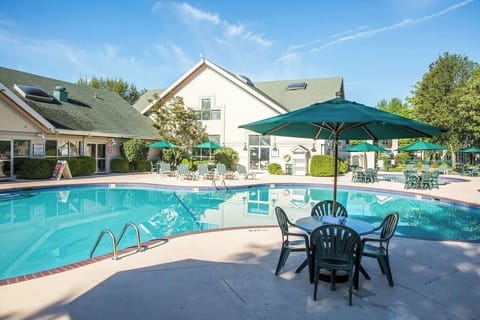 Lounge poolside with a refreshing drink and breezy shade.