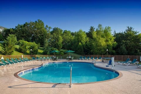 Soak up sunshine poolside with peaceful green views beyond.