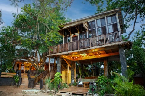 Enchanting Tree house