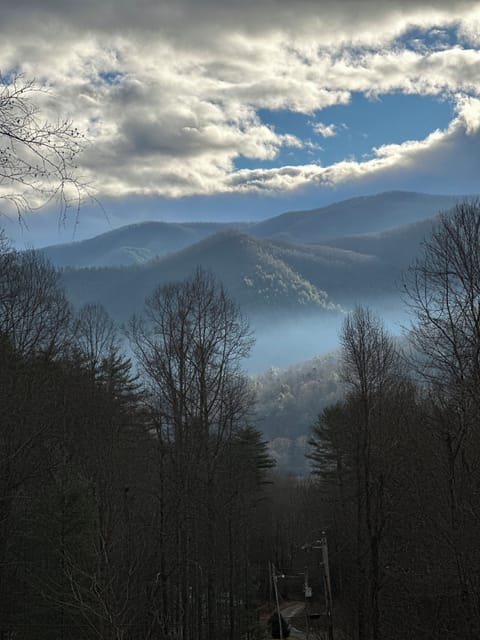 Enjoy the magic of the misty mountains of East Tennessee!