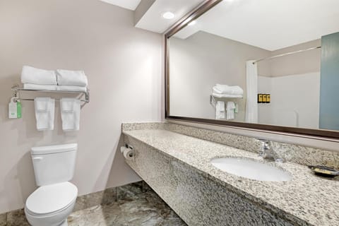 Combined shower/tub, free toiletries, hair dryer, towels