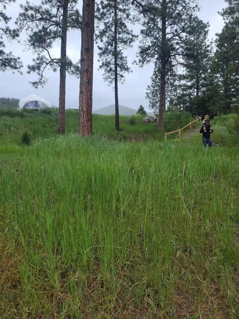 We have mulipule native wildflowers growing all spring in our mini meadow