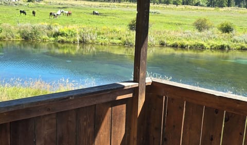 Patio off living room 