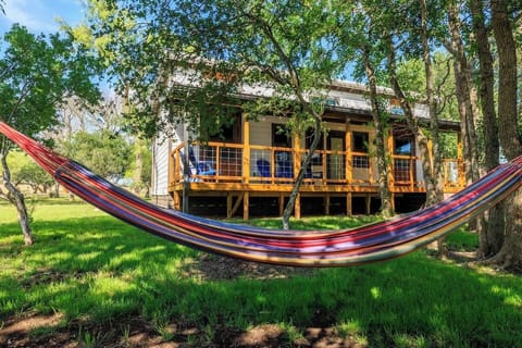 Welcome to the Primrose.