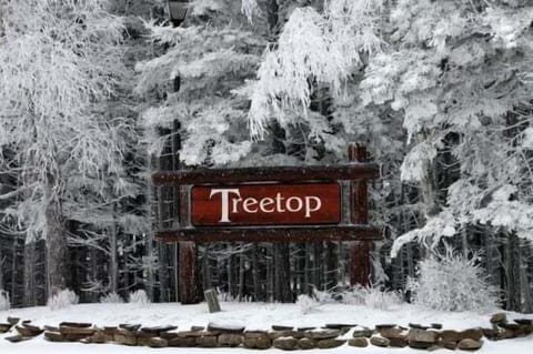 Tucked among the snowy evergreens, Treetop offers a true mountain escape while keeping you close to all the action. Enjoy the peaceful, wooded surroundings just minutes from the slopes, trails, and village dining.
