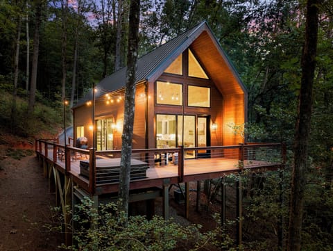 Springer Cabin at Night