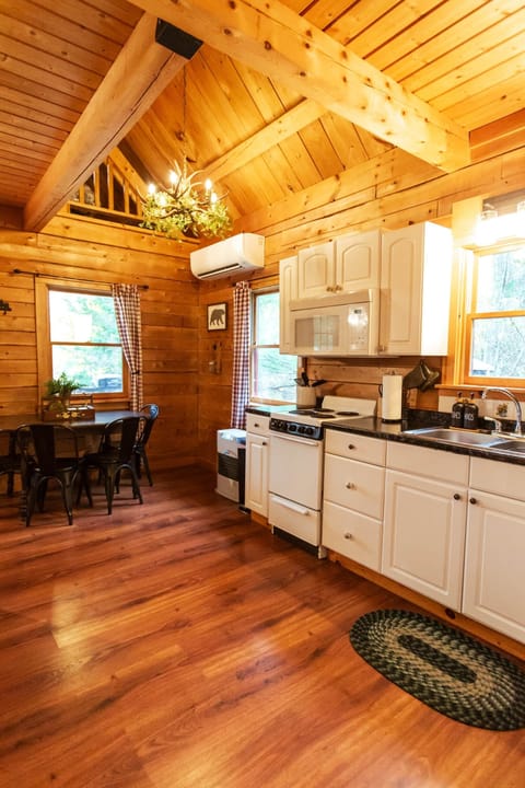 Heat pump for AC in the summer, and a monitor heater for heat in the winter.