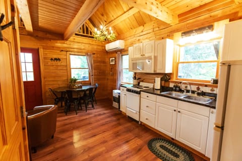 Heat pump for AC in the summer, and a monitor heater for heat in the winter.