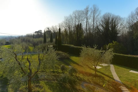 Grass, Leaf, Nature, Green, Natural Environment, Vegetation, Natural Landscape, Shrub, Landscape, Land Lot