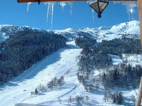 Amazing Mountain and Ski Slopes views