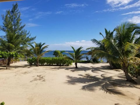 Beachside, view from the porch
