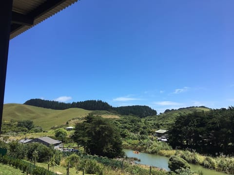 Views from the Kitchen