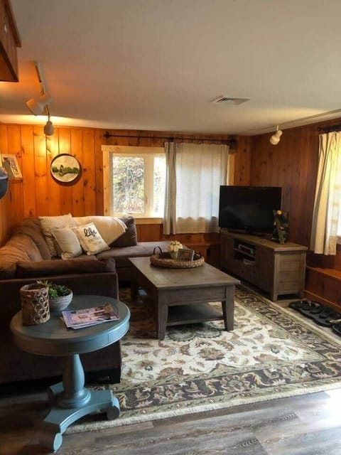 Lower level walk out living room 