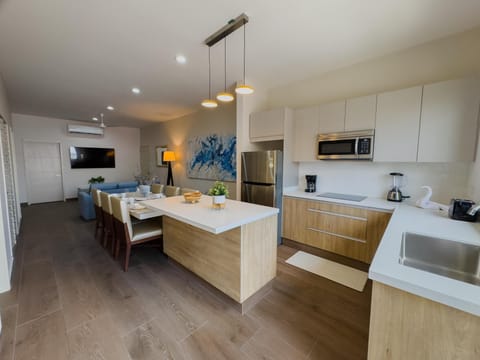 Kitchen, dining and living areas