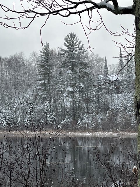 Ole Lake (& my house) View from Penninsula
