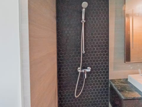 Deluxe Apartment | Bathroom | Shower, free toiletries, towels