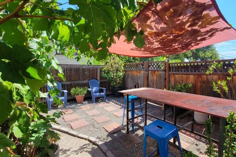 Fenced patio among the grape vines featuring a hightop table, stools, sun shade, and lounge chairs