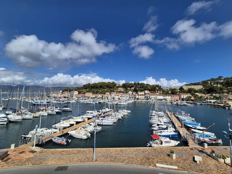 Marina