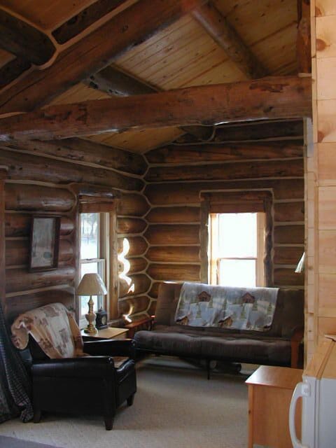 Traditional Cabin, 1 Bedroom (Renegade) | Living area | DVD player