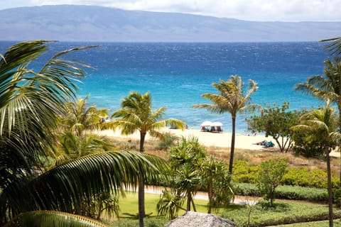 Let the view do the talking, crystal waters, beachfront palms, and laid-back luxury all from your private lanai HKH-406