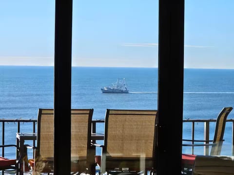 View from balcony, watch dolphins swim by!