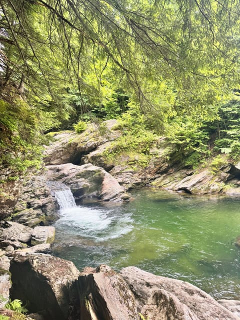 Swimming hole and waterfall hike minutes away from the chalet.