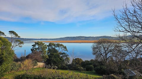Tamar River View