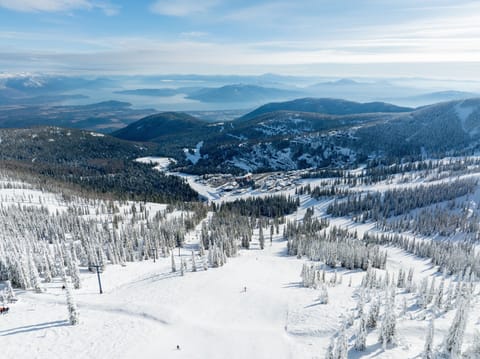 Tree, Fir, Nature, Outdoors, Scenery