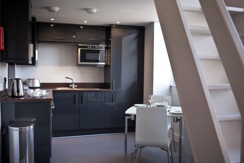 Apartment, 1 Bedroom, Non Smoking, City View | Private kitchen